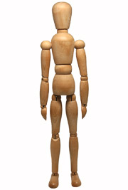 Lymphatic system picture
