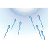 Sperm image
