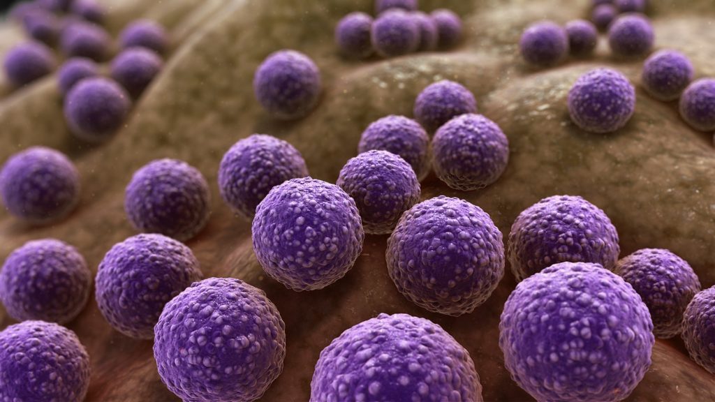 The Rise of the Superbugs: The global threat of antimicrobial resistance