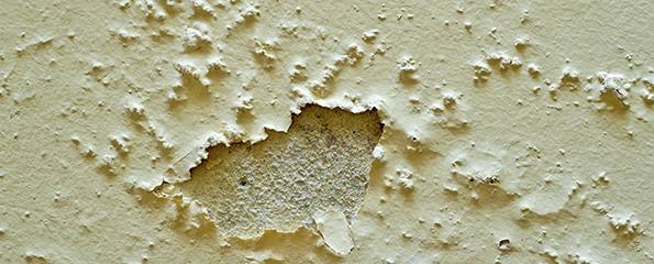 Household mould a trigger for increased asthma risk