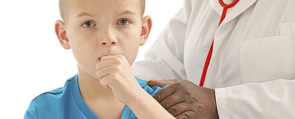 Evolution of whooping cough bacterium could reduce