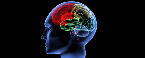 Autism early intervention found to normalise brain activity