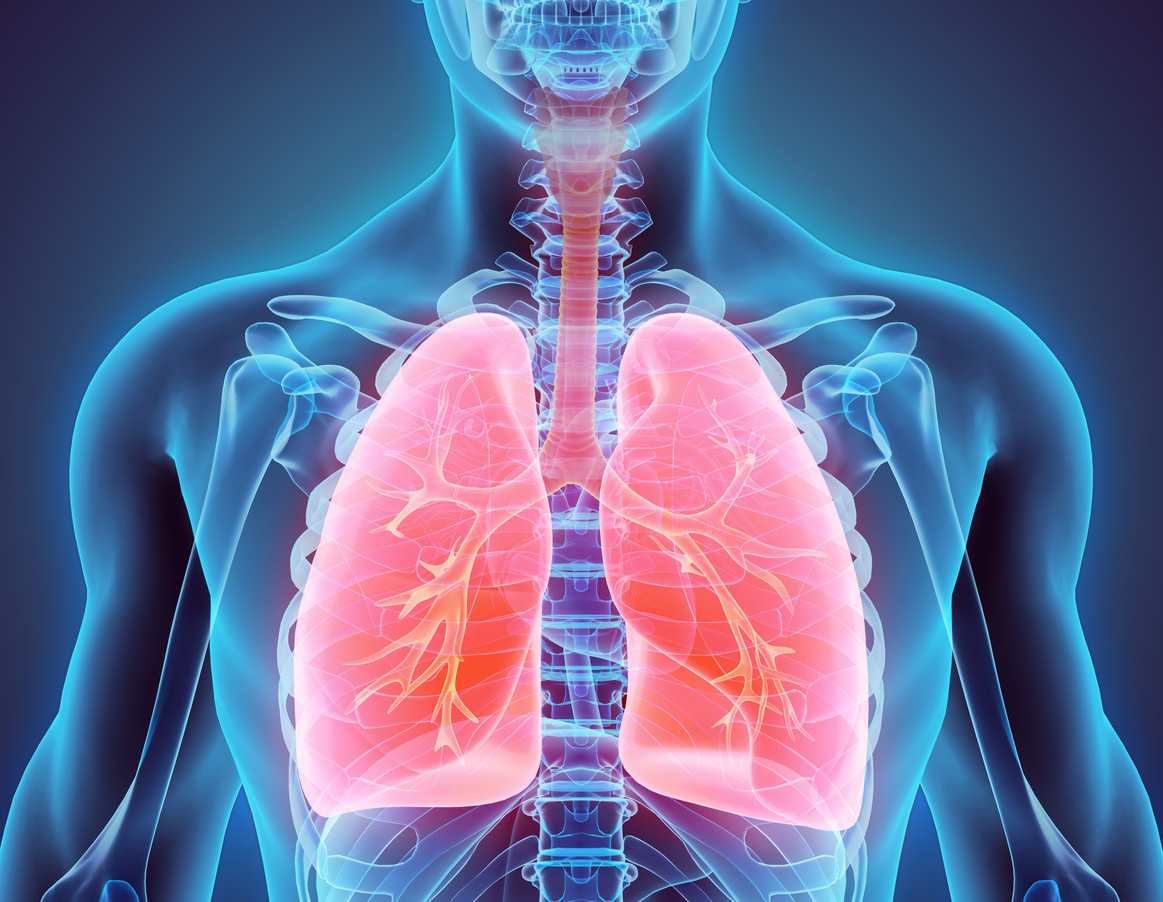 Respiratory Pulmonology Physicians Healthengine Blog   Bronchosopy 1 