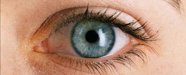 Eyes may provide a look into multiple sclerosis progression