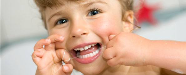 Teeth anatomy: Baby teeth (primary dentition)