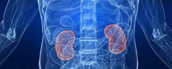 Do non-steroidal anti-inflammatory drugs cause kidney failure in children?