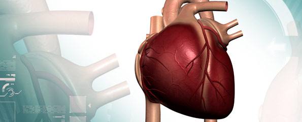 Coronary Artery Bypass Grafting (CABG)/ Heart Bypass Surgery