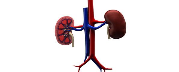 Acute nephritic syndrome (acute glomerulonephritis, acute nephritis syndrome)