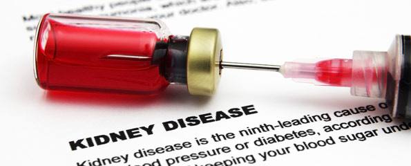 Infection-associated renal disease (kidney disease; nephropathies)