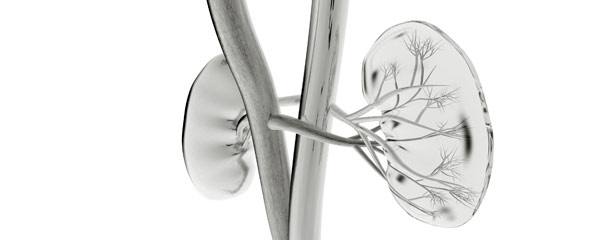 Balkan endemic nephropathy (BEN)