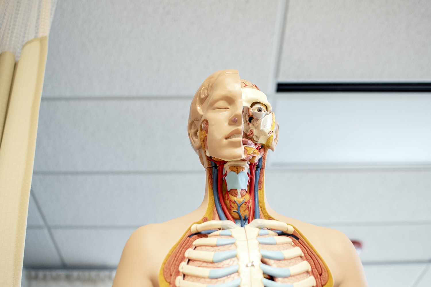 What Is A Musculoskeletal Physician HealthEngine Blog
