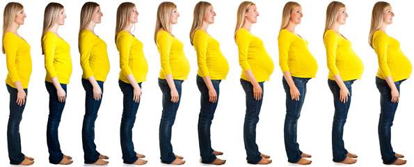 3 weeks pregnant: The beginning of human development
