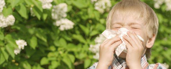 Hayfever (seasonal rhinitis)