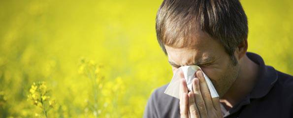 Perennial allergic rhinitis