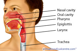 Spasmodic dysphonia