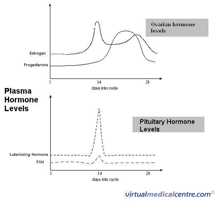 Plasma hormone levels
