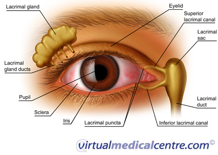 Effects of dry eye syndrome on the eye