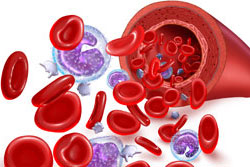 Blood image