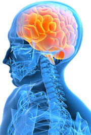 Brain - post stroke spasticity