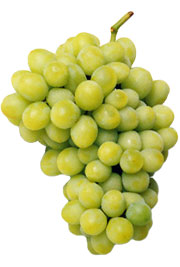 Grapes