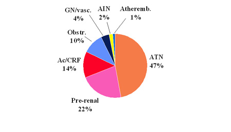 Acute Renal Failure