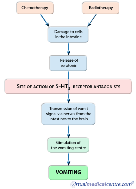 Figure 1: Mechanism of action of serotonin blockers diagram